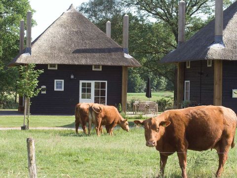 Erve Woolderink - Camping Wierden