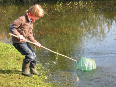 Erve Woolderink - Camping Wierden - Image N°10