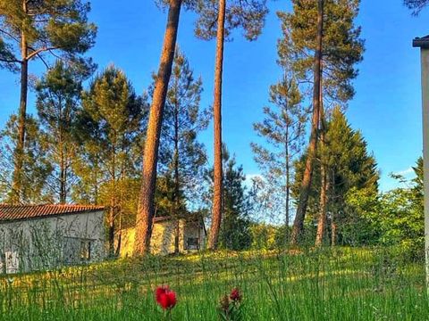 MAISON 4 personnes - Maison 1 chambre