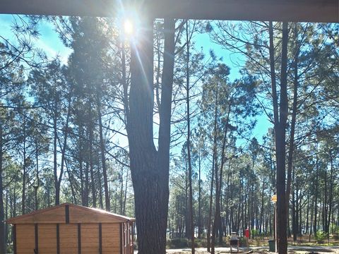 BUNGALOW 5 personnes - Bungalow Family Superior