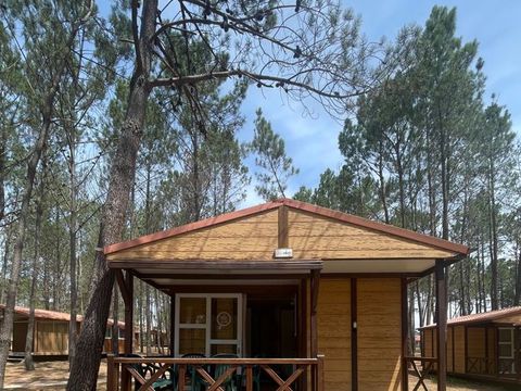 BUNGALOW 5 personnes - Bungalow Basic Family