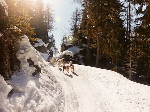 Résidence Pierre & Vacances Premium Le Roselend - Camping Savoie - Image N°13
