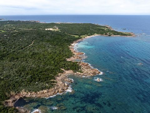 Residence Pierre & Vacances Vignola Mare - Camping Olbia-Tempio - Image N°29