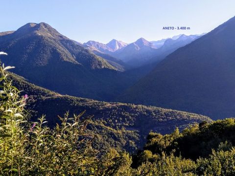 Bedura Park, camping temático de la naturaleza y bungalows - Camping Lleida - Image N°15