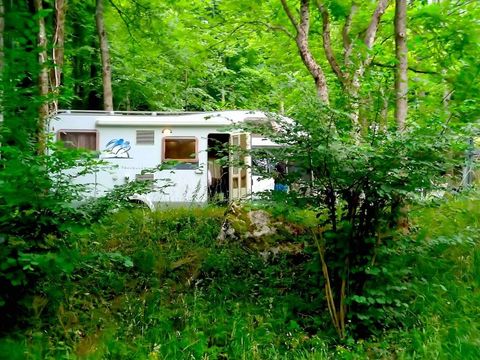 Bedura Park, camping temático de la naturaleza y bungalows - Camping Lleida - Image N°24