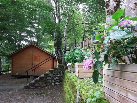 Bedura Park, camping temático de la naturaleza y bungalows - Camping Lleida - Image N°29