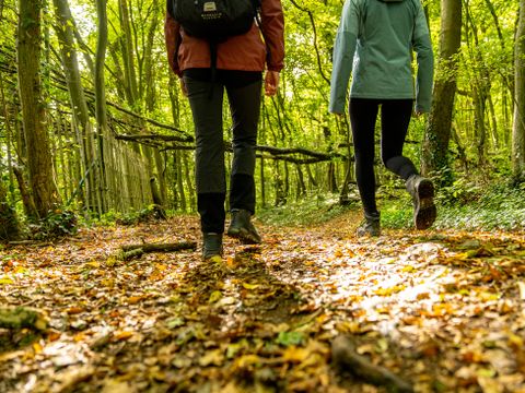 Landal Namur Nature - Camping Namur - Image N°27