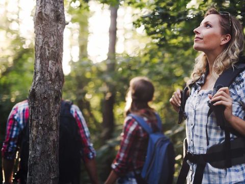 Dormio Hotel Der Seehof - Camping Rhénanie du Nord-Westphalie - Image N°21