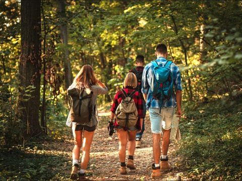 Dormio Hotel Der Seehof - Camping Rhénanie du Nord-Westphalie - Image N°5