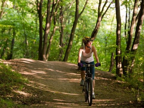 Dormio Hotel Der Seehof - Camping Rhénanie du Nord-Westphalie - Image N°5