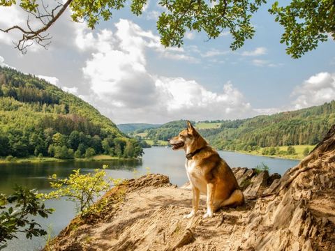 Dormio Hotel Der Seehof - Camping Rhénanie du Nord-Westphalie - Image N°28