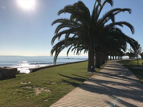 Camping Alegria Del Mar - Camping Castellón - Image N°3