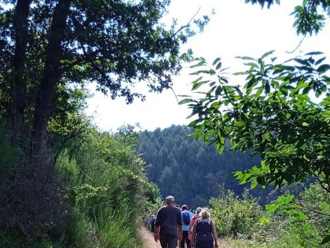 Camping L'Échapée Verte - Camping Cantal - Image N°21