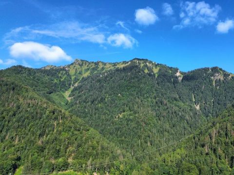 Camping du Val de Tamié - Camping Haute-Savoie - Image N°13