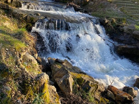 Camping des deux Séquoias - Camping Aveyron - Image N°40