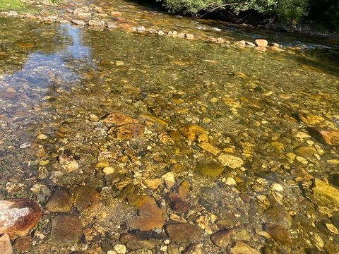Camping des deux Séquoias - Camping Aveyron - Image N°11