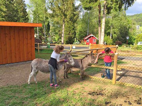 Bungalowpark Felsenhof - Camping Rhénanie-Palatinat - Image N°2