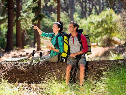 Bungalowpark Felsenhof - Camping Rhénanie-Palatinat - Image N°15