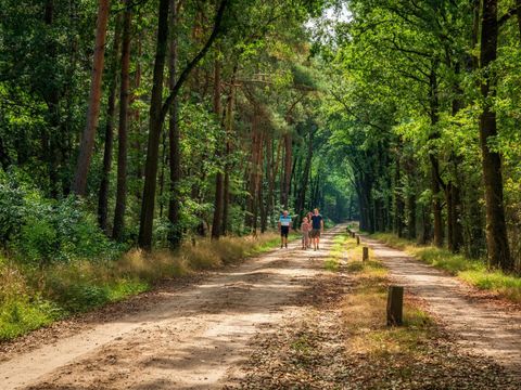  Charmecamping & Appartementen De Regge-Vallei  - Camping Twenteret - Image N°31