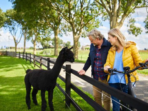  Charmecamping & Appartementen De Regge-Vallei  - Camping Twenteret - Image N°11