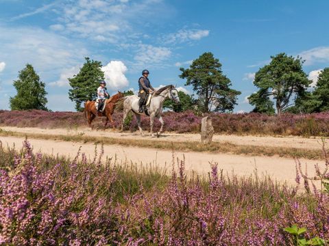  Charmecamping & Appartementen De Regge-Vallei  - Camping Twenteret - Image N°27