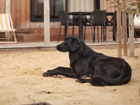 LODGE 6 personnes - Marsanne 6 Dog Friendly