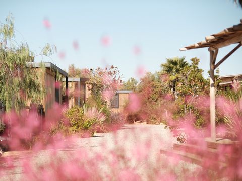 Blendin Agde - Camping Hérault - Image N°10