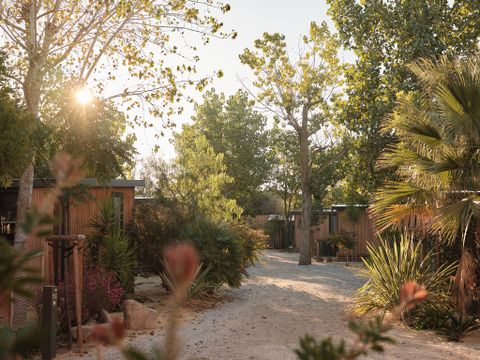 Blendin Agde - Camping Hérault - Image N°8