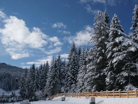 Camping Leutasch - Camping Tyrol - Image N°29