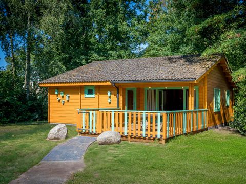 BUNGALOW 6 personnes - Mole's Forest Lodge