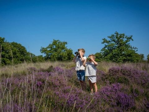 Familie Resort de Tovertuin - Camping Woensdrecht - Image N°9