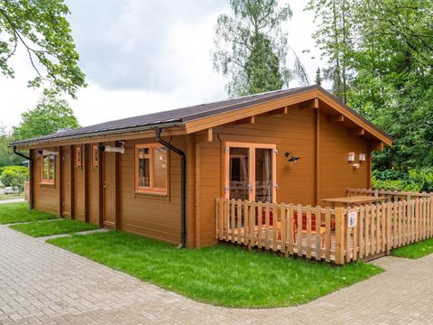 LODGE 6 personnes - Woezel & Pip Babylodge