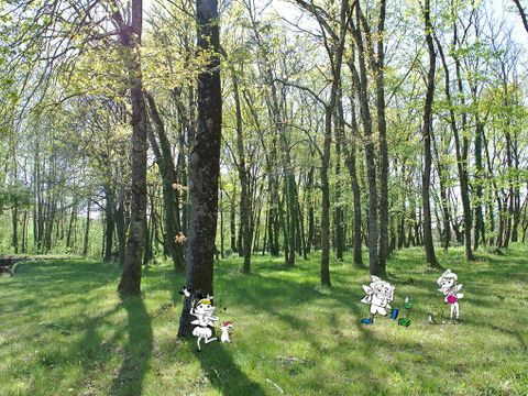 Camping Les Fées du Moulin - Camping Tarn - Image N°5