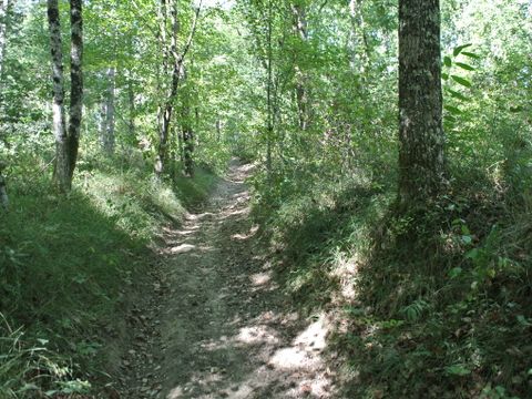 Camping Les Fées du Moulin - Camping Tarn - Image N°2