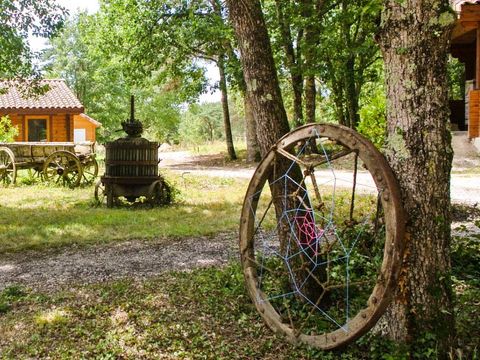 Camping Les Fées du Moulin - Camping Tarn - Image N°9