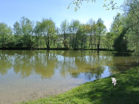 Camping Les Fées du Moulin - Camping Tarn - Image N°6