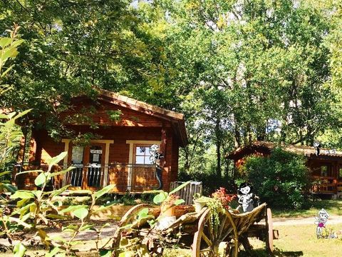 Camping Les Fées du Moulin - Camping Tarn - Image N°8