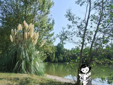 Camping Les Fées du Moulin - Camping Tarn - Image N°3