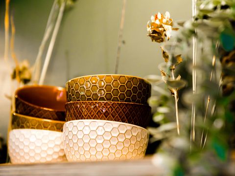 LODGE 4 personnes - Pavillon d'eau Sweltsje