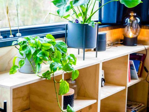 LODGE 4 personnes - Loge à eau Reade Wikel