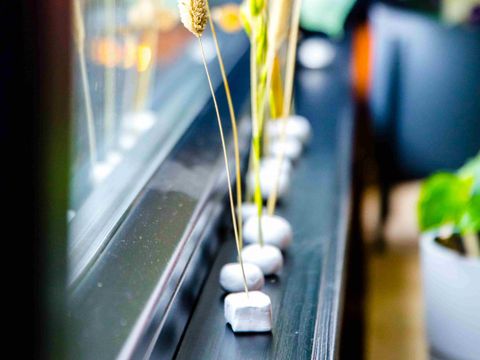 LODGE 4 personnes - Loge à eau Reade Wikel