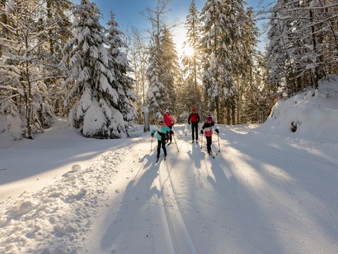 Village Club Cévéo de Bois d'Amont - Camping Jura - Image N°10