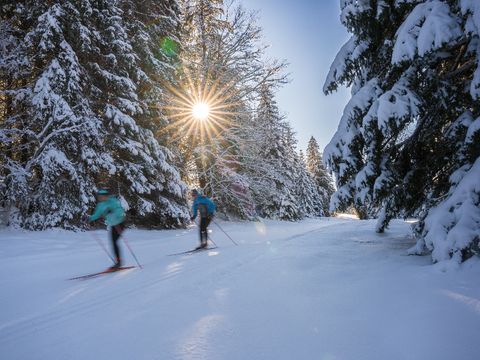 Village Club Cévéo de Bois d'Amont - Camping Jura - Image N°11