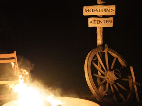 Thuysgrond - Camping Bergeijk - Image N°11