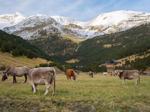 Pierre & Vacances Résidence La Merceria - Camping Andorre - Image N°4