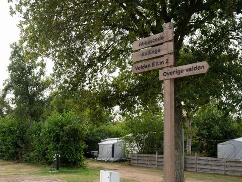 Vakantiepark de Nollen - Camping Schagen - Image N°7