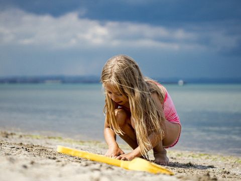 Duincamping de Lepelaar - Camping Schagen - Image N°3