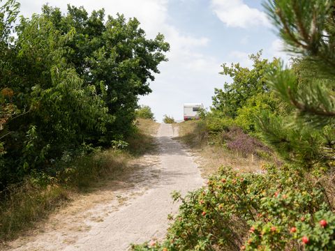 Duincamping de Lepelaar - Camping Schagen - Image N°27