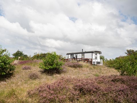 Duincamping de Lepelaar - Camping Schagen - Image N°22