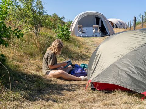 Duincamping de Lepelaar - Camping Schagen - Image N°5